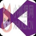 Visual Studio 2013中文版
