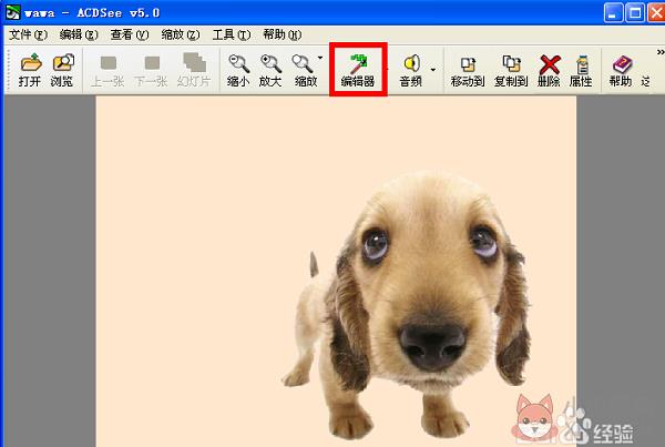 ACDSee12 v12.0官方正式版
