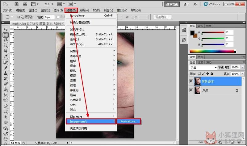 Portraiture V4.5.3最新版