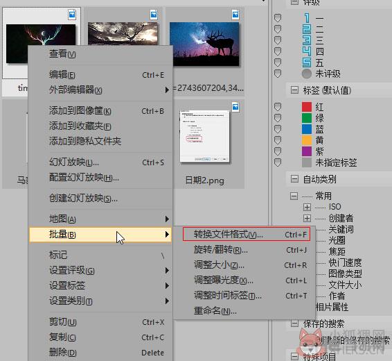 ACDSee14 v14.4.247 绿色版