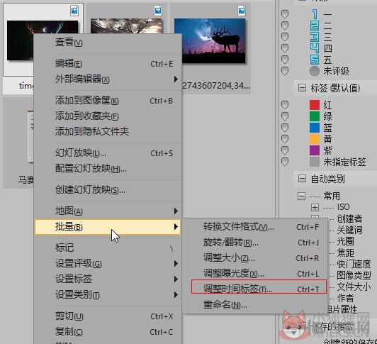 ACDSee14 v14.4.247 绿色版