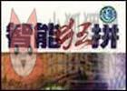 中文之星智能狂拼|智能狂拼Ⅲ.3 输入法 正式版