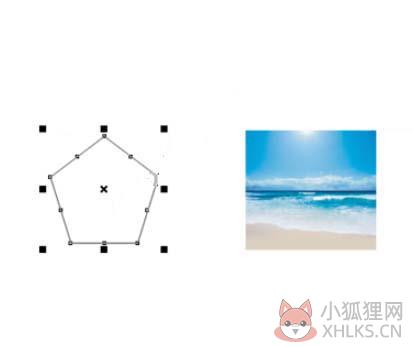 CorelDRAW 12绿色版