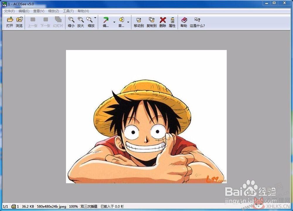 ACDSee 5.0绿色免费安装版