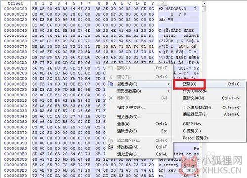 WinHex中文版 v19.9免费下载