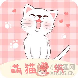 萌猫壁纸