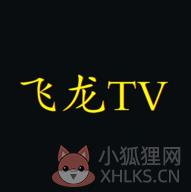 飞龙TV
