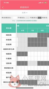樱桃医生