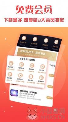 V游