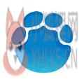 河南大象新闻客户端APP下载 v3.0.7