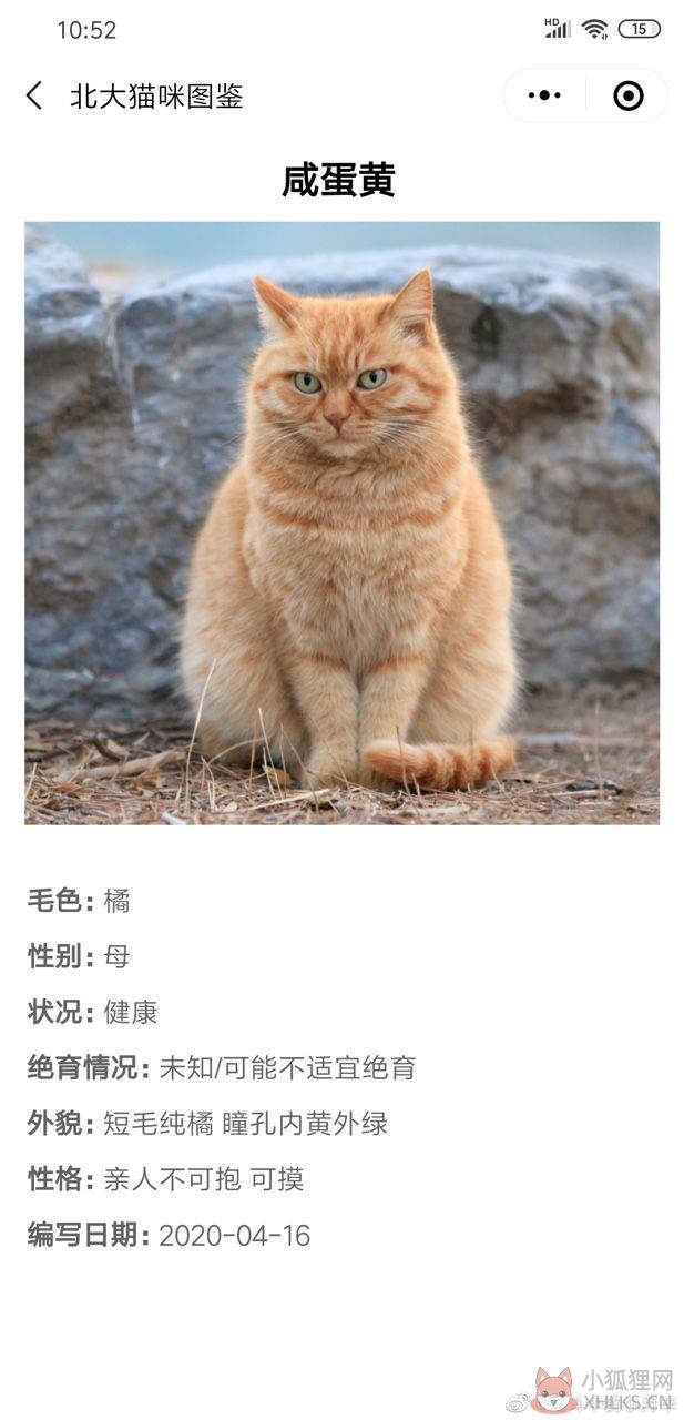 北大猫咪图鉴APP官方小程序入口图片1
