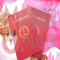 520结婚证生成器在线制作软件APP照片版 v1.0