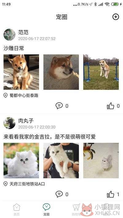 叮当宠屋APP官方客户端图片1