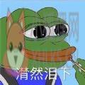 七夕孤寡蛤蟆头像大图无水印分享 v1.0