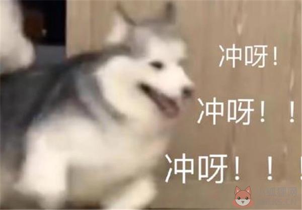 2020最后一天朋友圈说说文案图片分享图片1