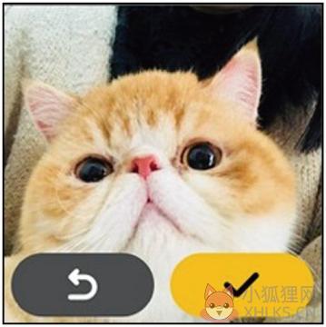 微信儿童版下载官方正式版图片1