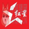 红星网App软件官方版 v1.0.1
