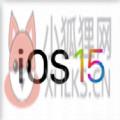 iOS15.3正式版描述文件更新升级 v1.0