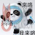 北京冬奥会雪容融冰墩墩铁憨憨动态表情包图片高清版 v1.0