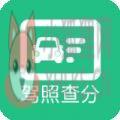 驾驶证分数查询App官方版 v1.0.0