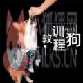 训狗教程大全APP手机版 v1.0.3