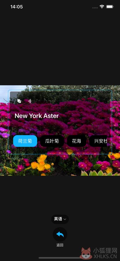 随身翻译器APP官方版图片1
