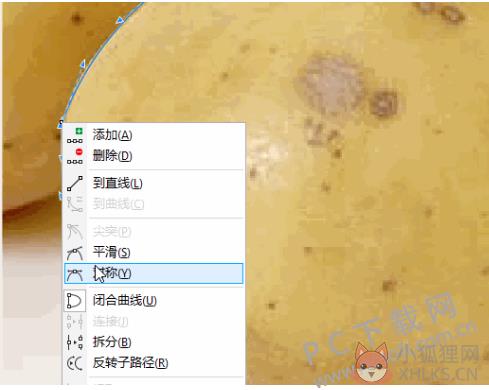 CorelDRAW 2018 绿色版
