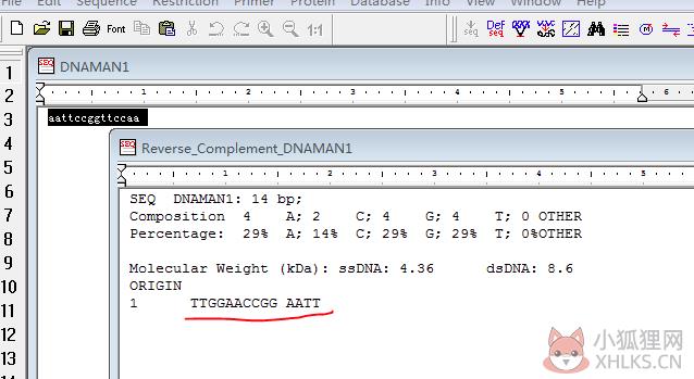 DnaMan V9.0绿色版
