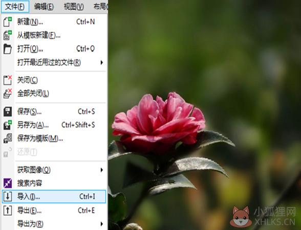 CorelDraw X4绿色最新版