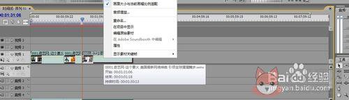 Adobe Premiere Pro CS5中文版