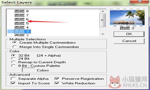 Adobe Director 12完整版