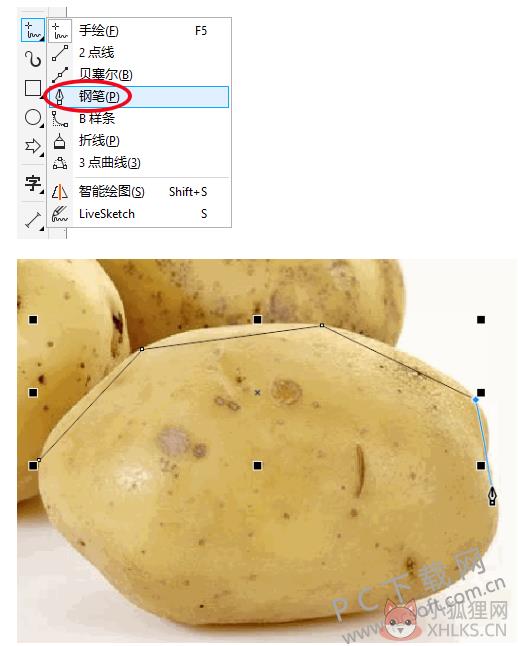 CorelDRAW 2018 绿色版