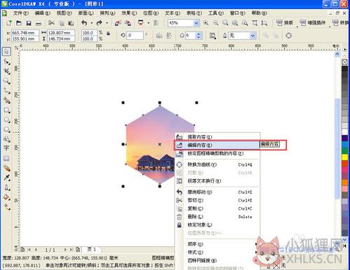 CorelDRAW X4正式版绿色下载