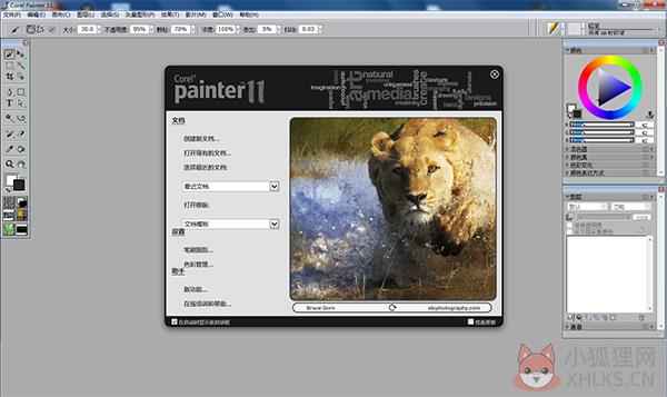 Corel Painter 11稳定版