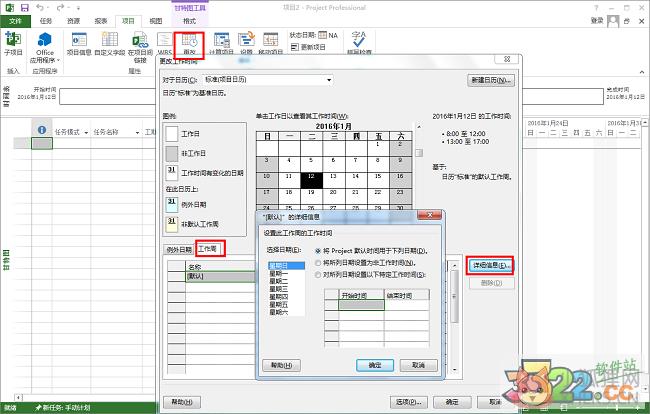 Project 2013正式版