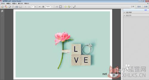TinyPDF V2.0.2600 正式版