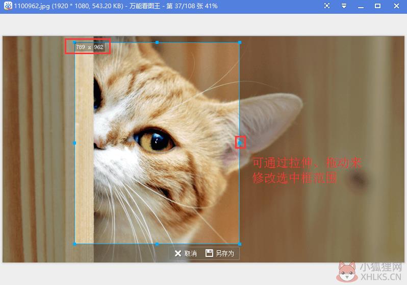 万能看图王 v1.8.8.6191 绿色版