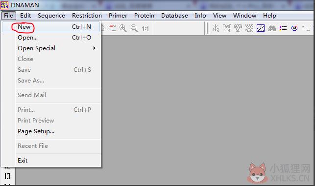 DnaMan V9.0绿色版