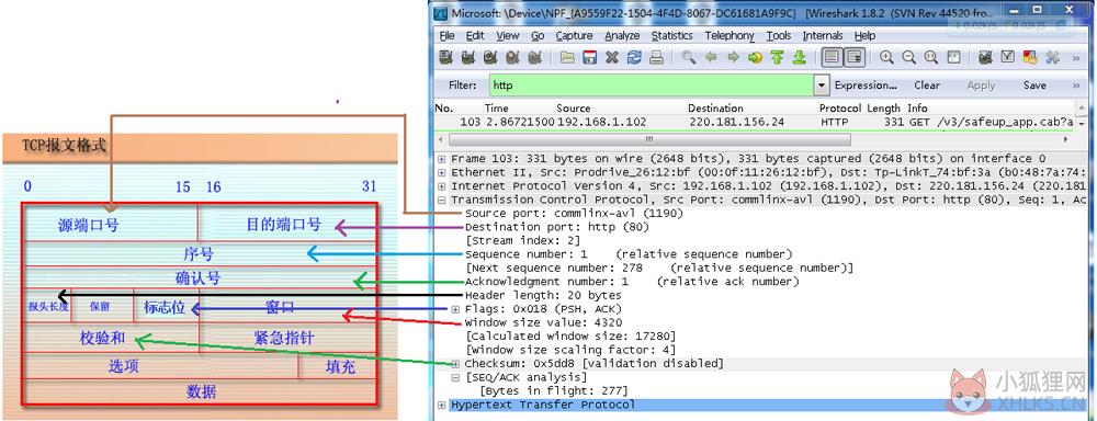 Wireshark v3.4.6 中文版