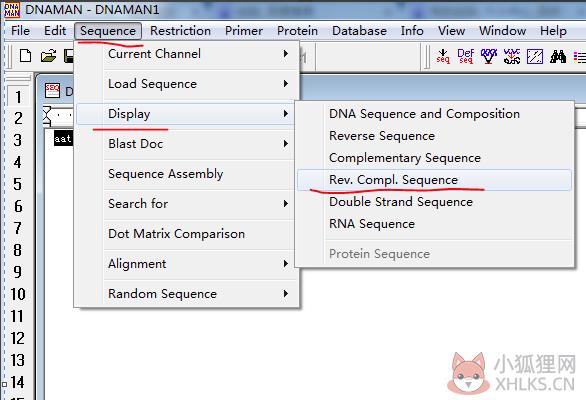 DnaMan V9.0绿色版