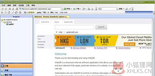 WebZip V7.1.2.1052绿色版