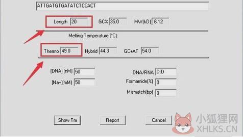 DnaMan V9.0绿色版