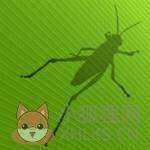 Grasshopper v0.9.75.0最新版