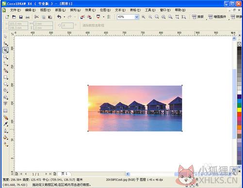CorelDRAW X4正式版绿色下载