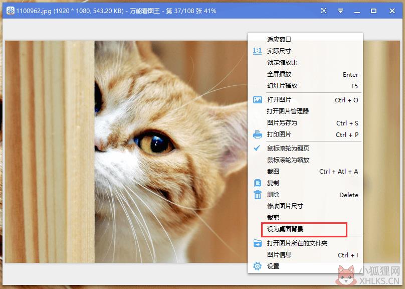 万能看图王 v1.8.8.6191 绿色版