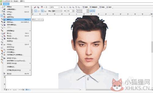 CorelDraw X4汉化版