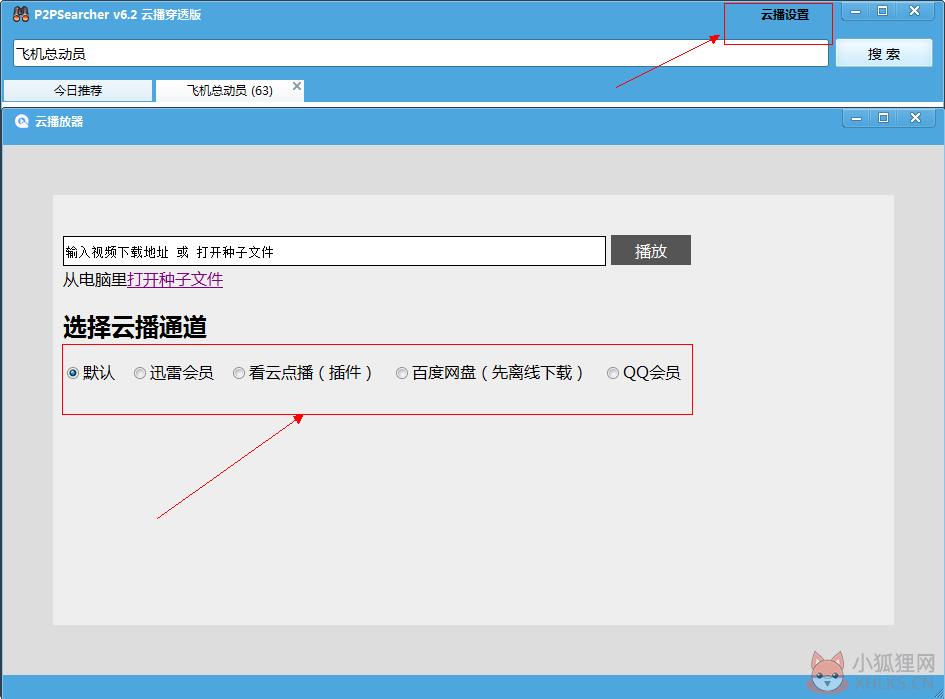 p2psearcher v8.8绿色版