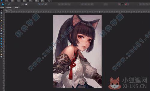 Affinity Designer V1.10.0.1104绿色版