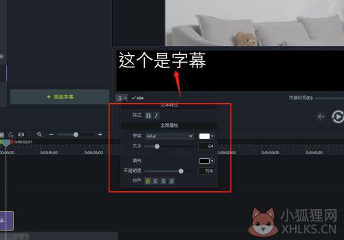 Camtasia Studio 2021中文版