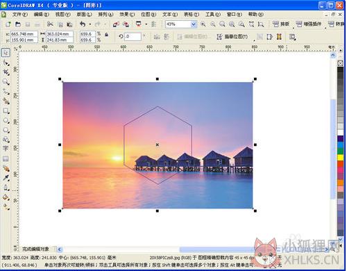 CorelDRAW X4正式版绿色下载